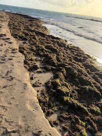 Resort beach very short walk away. After daily clean up