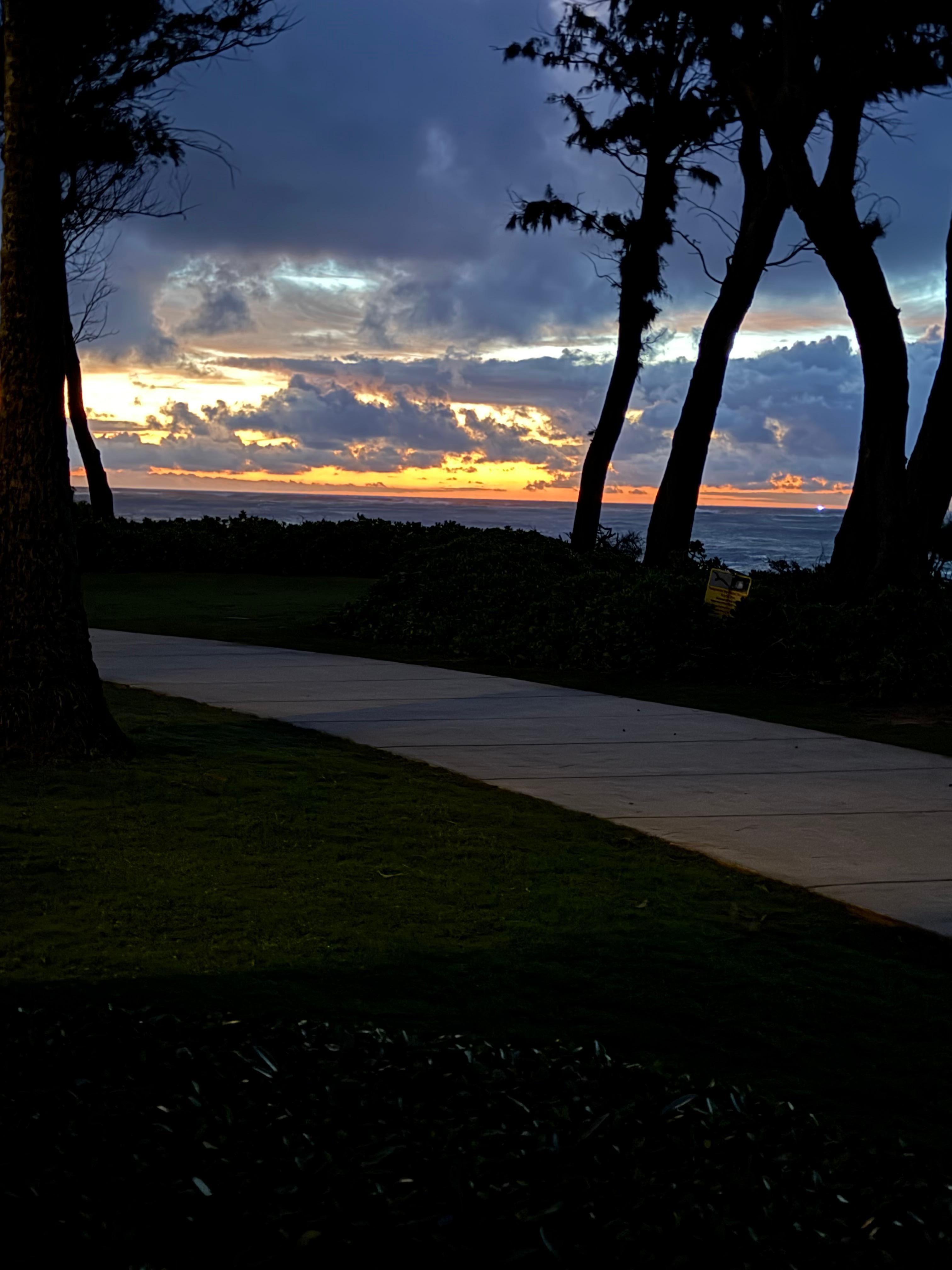 Sunrise 