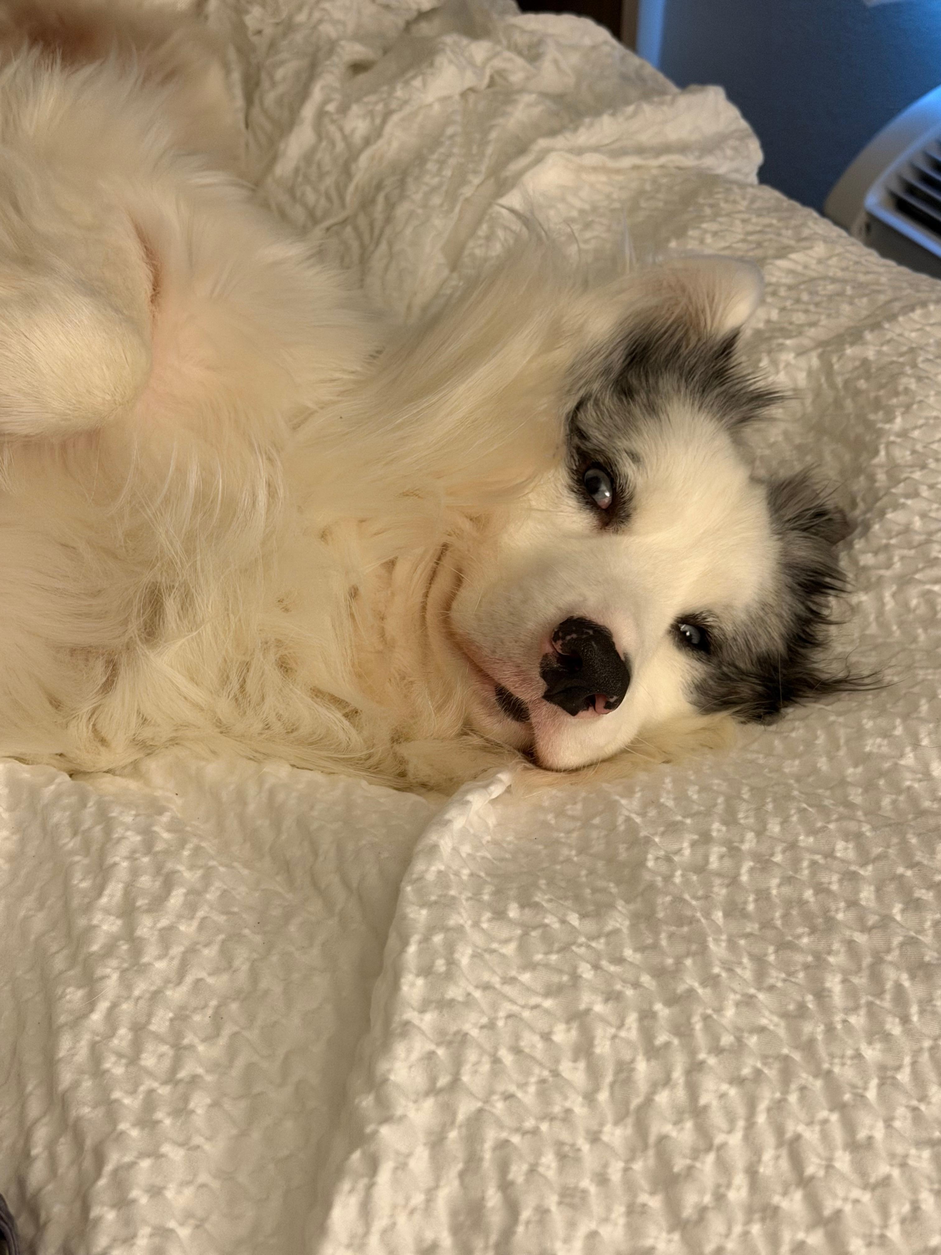 Paxton approved the room no issues. 