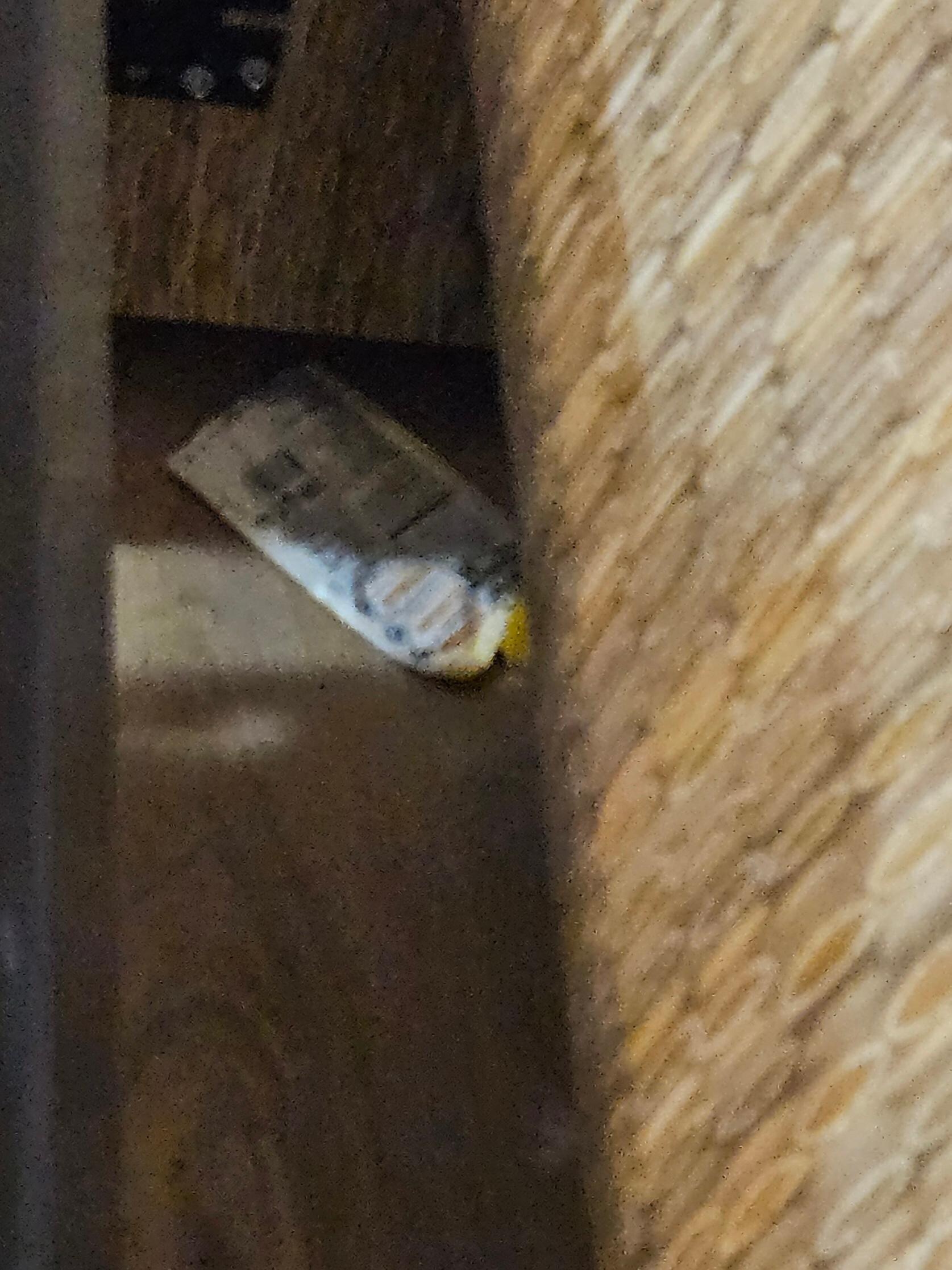 Trash under pull out bed