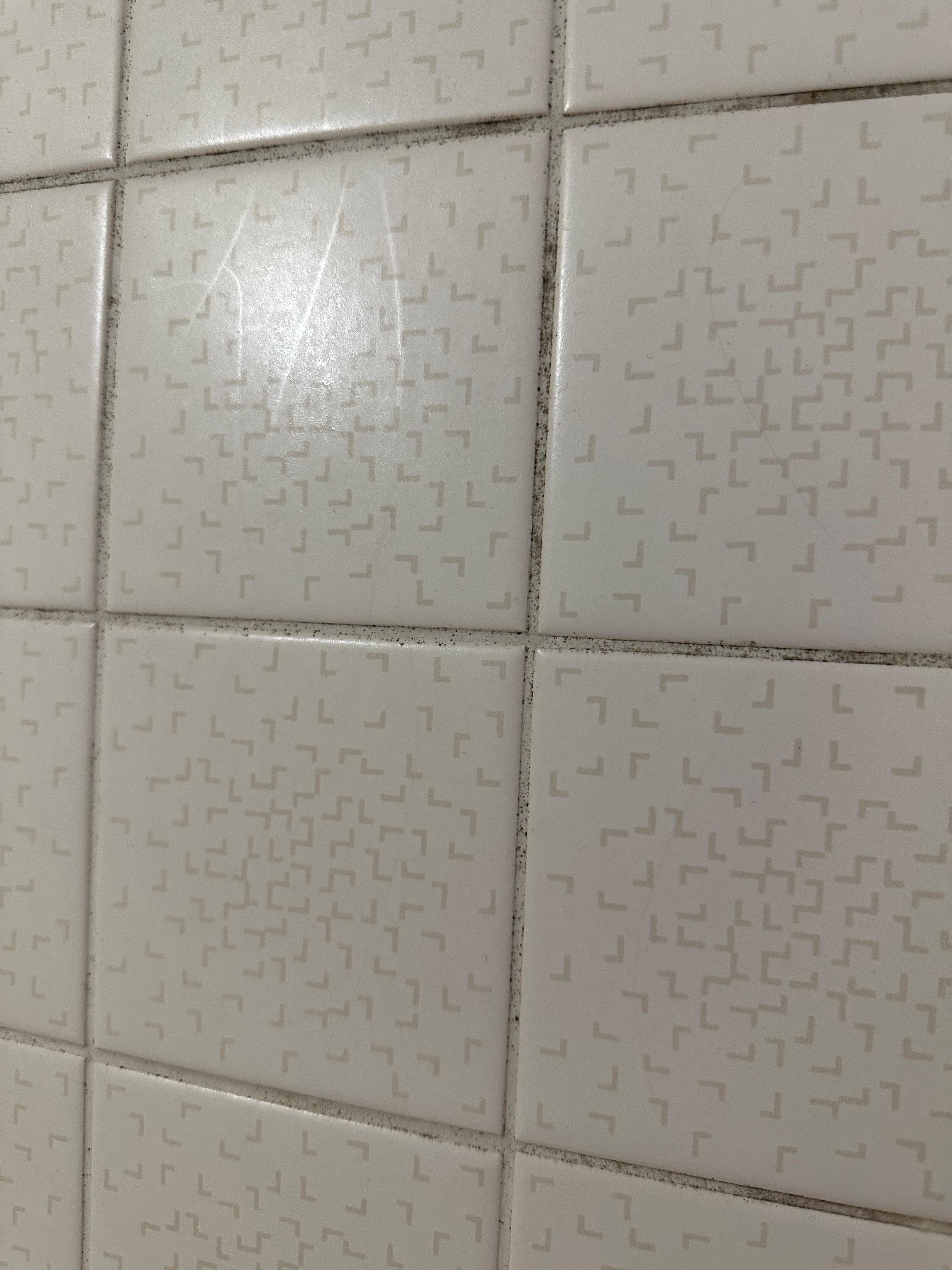 Moisissure sur les murs de la salle de bain 