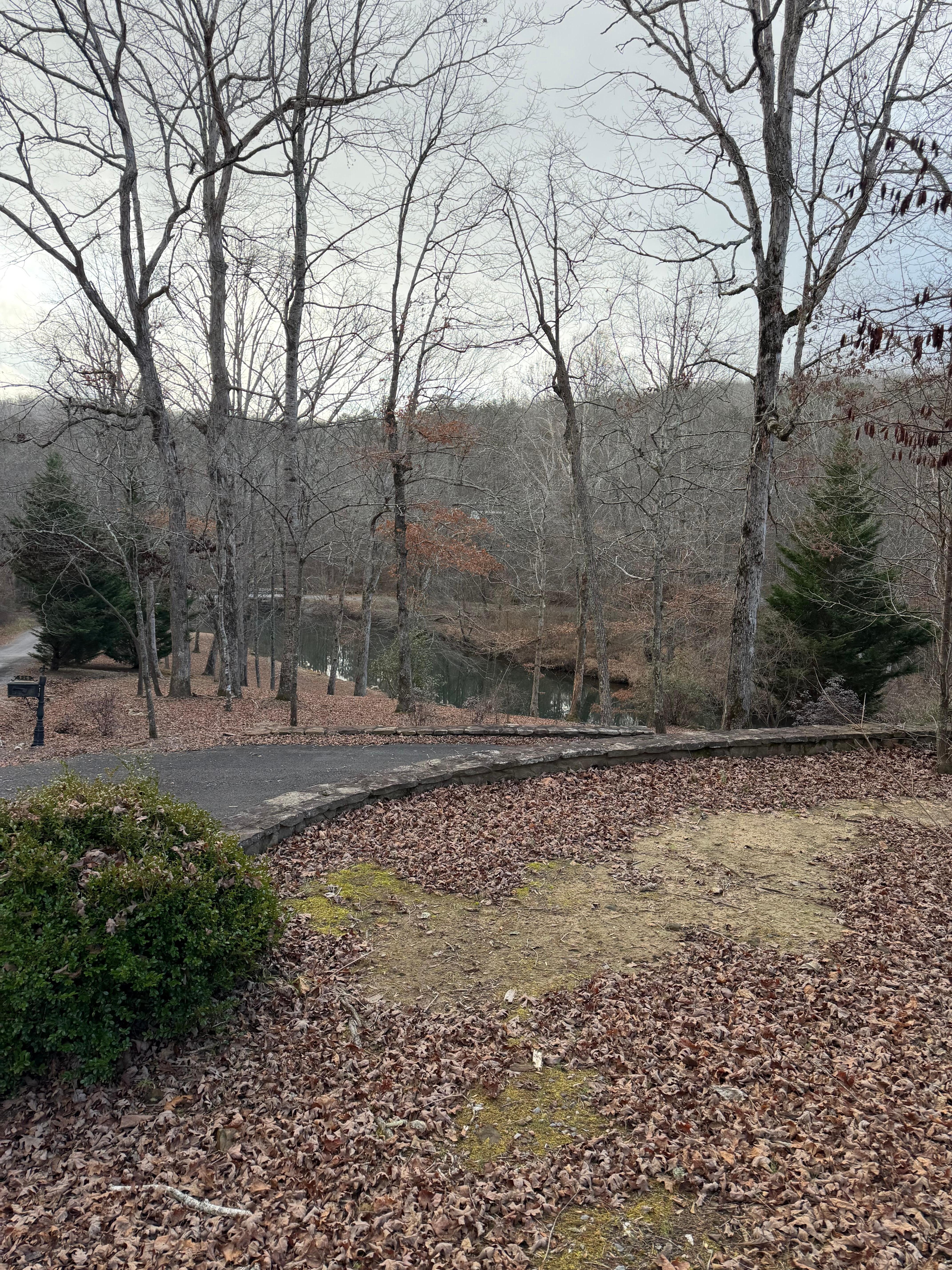 Water just a small walk. Has place to put in kayak or go swimming. 