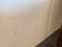 Paint bubbling and peeling off the walls