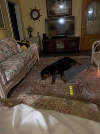 Exhausted after a long walk!