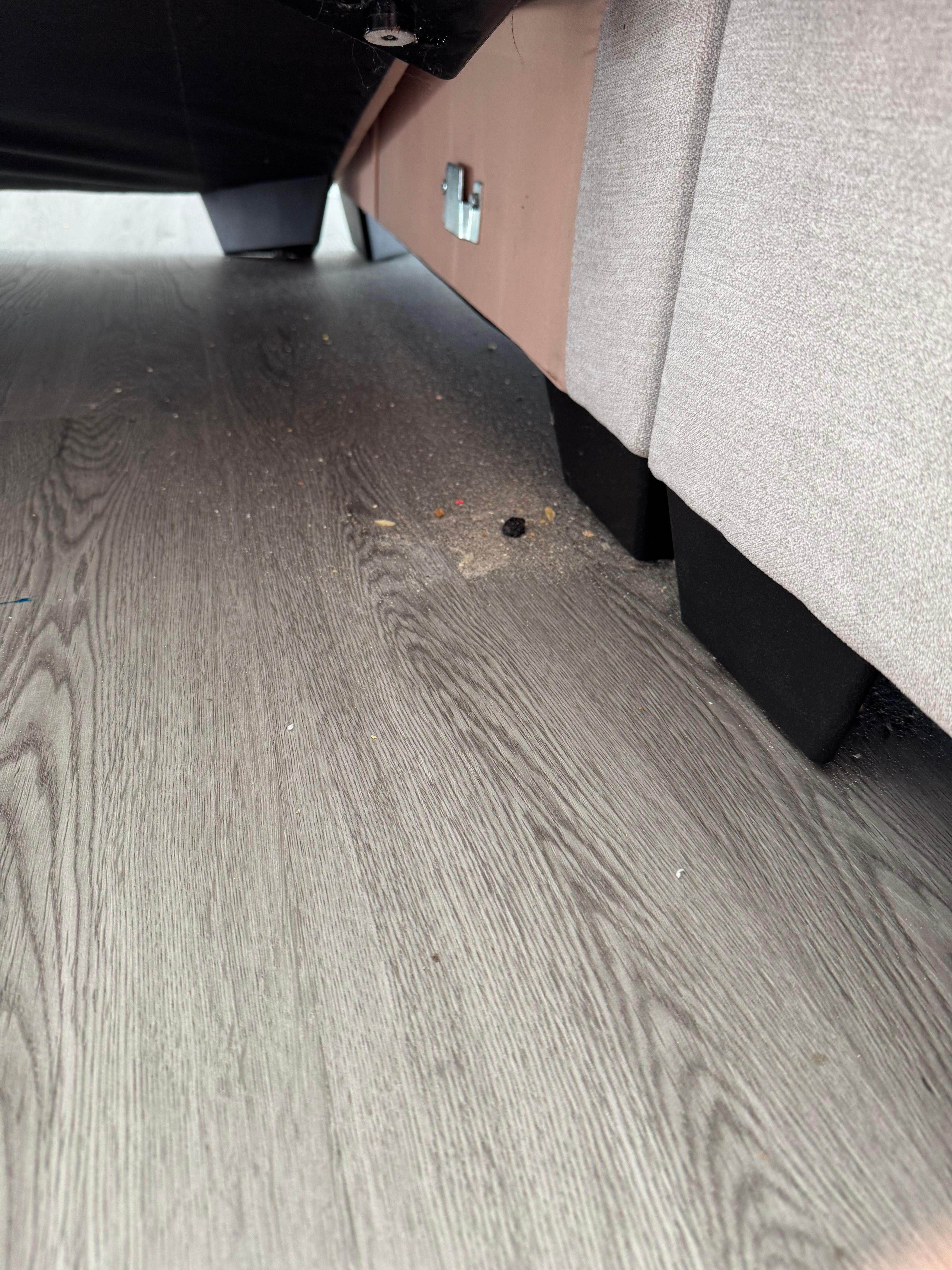 Dirt under sofa