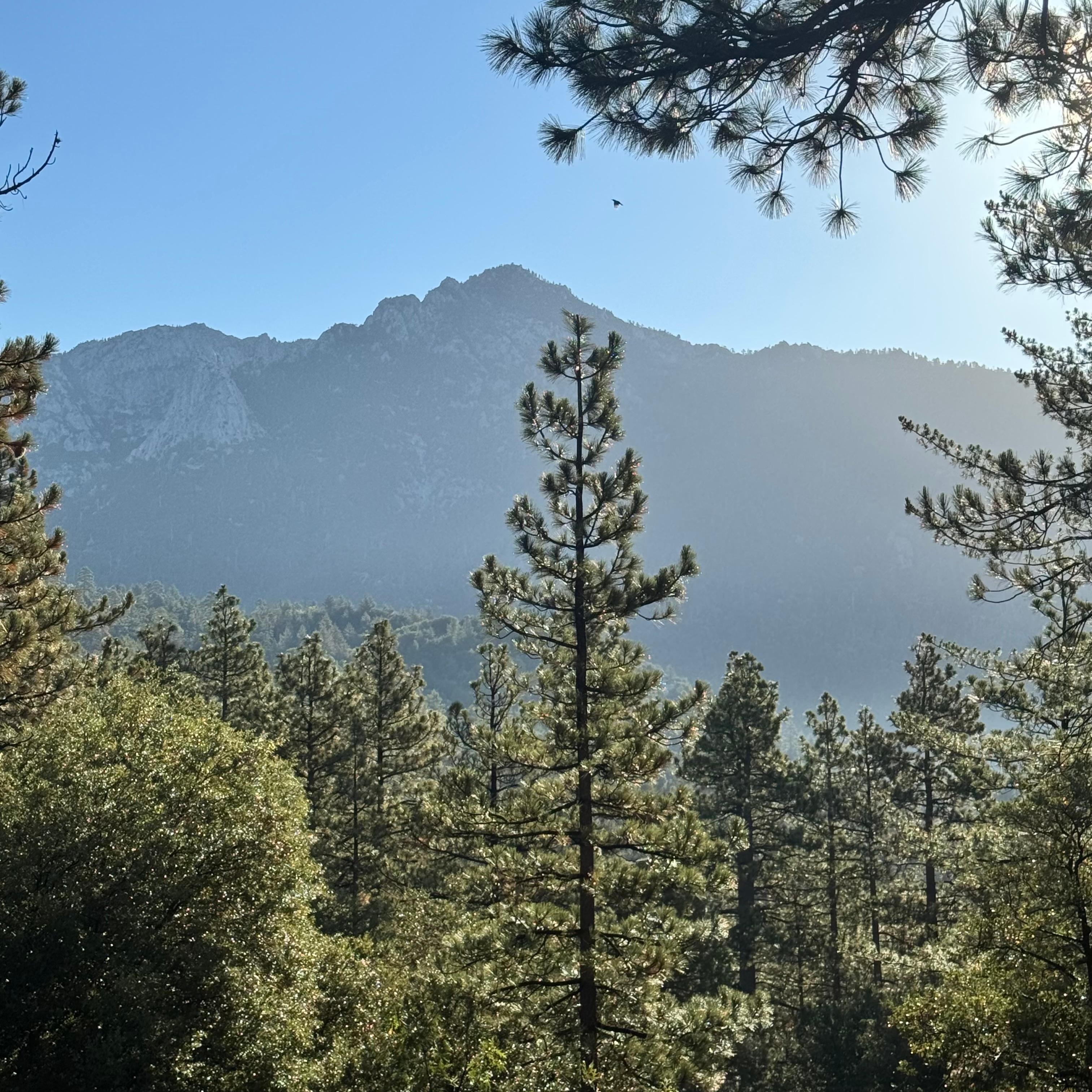 The views are endless.