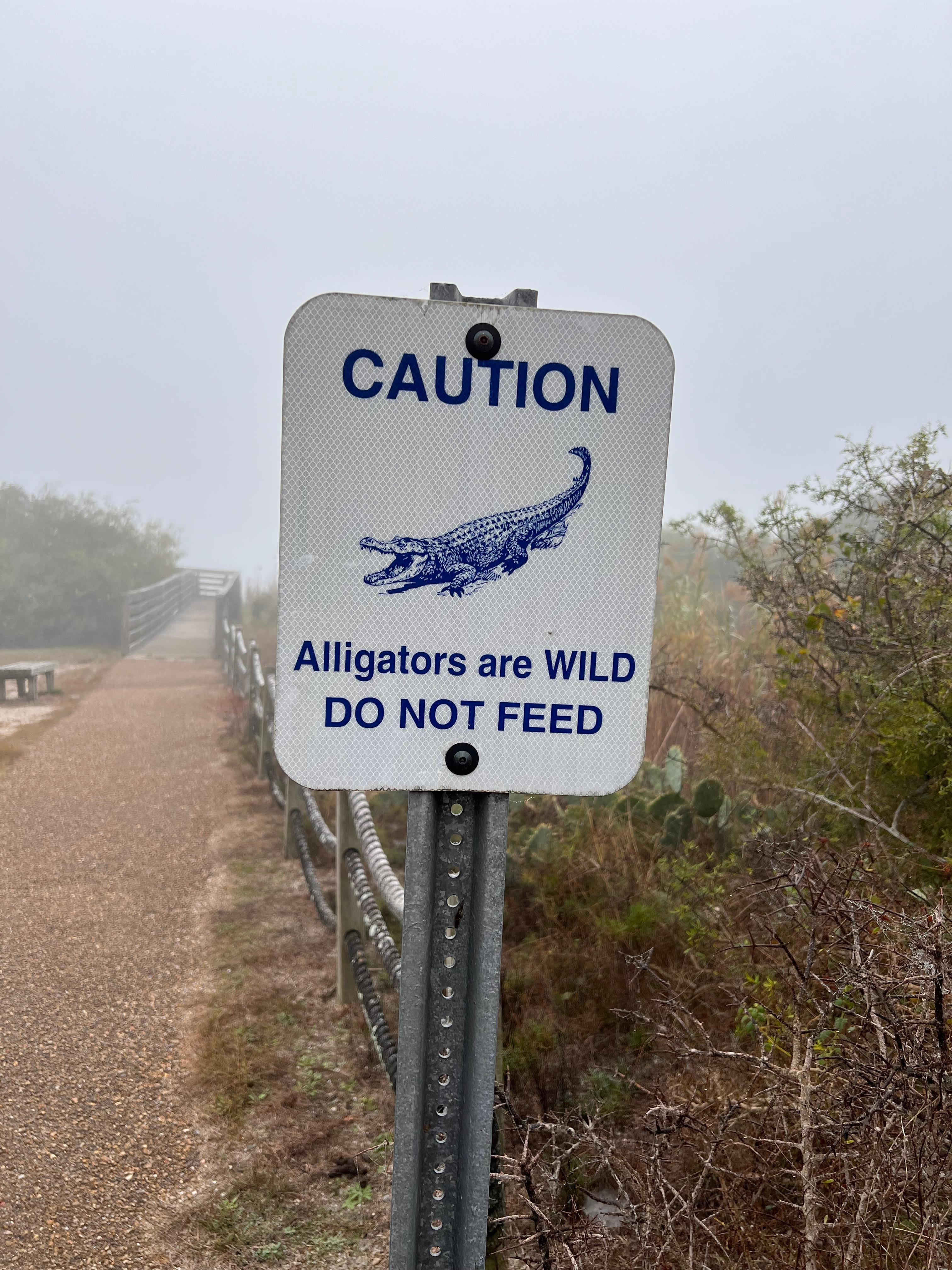 Aransas National Wildlife Refuge