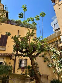 Interior courtyard of the building