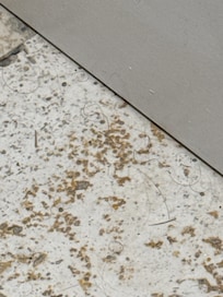 Hair all over floor and floor turned my kids feet black