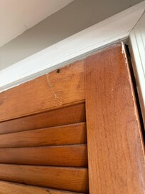 Dead bugs