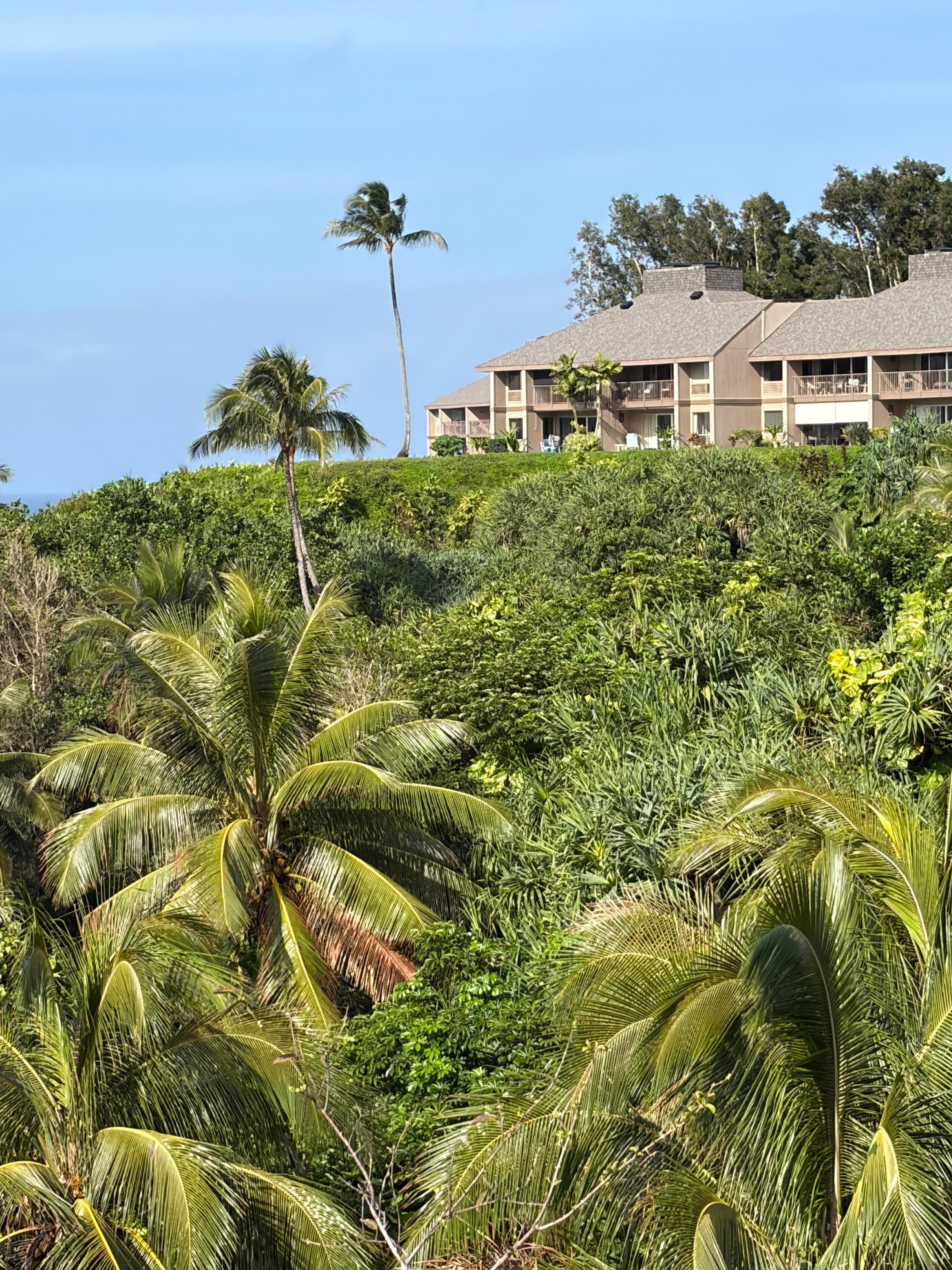 Long view showing the typical unit in the complex.