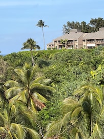 Long view showing the typical unit in the complex.