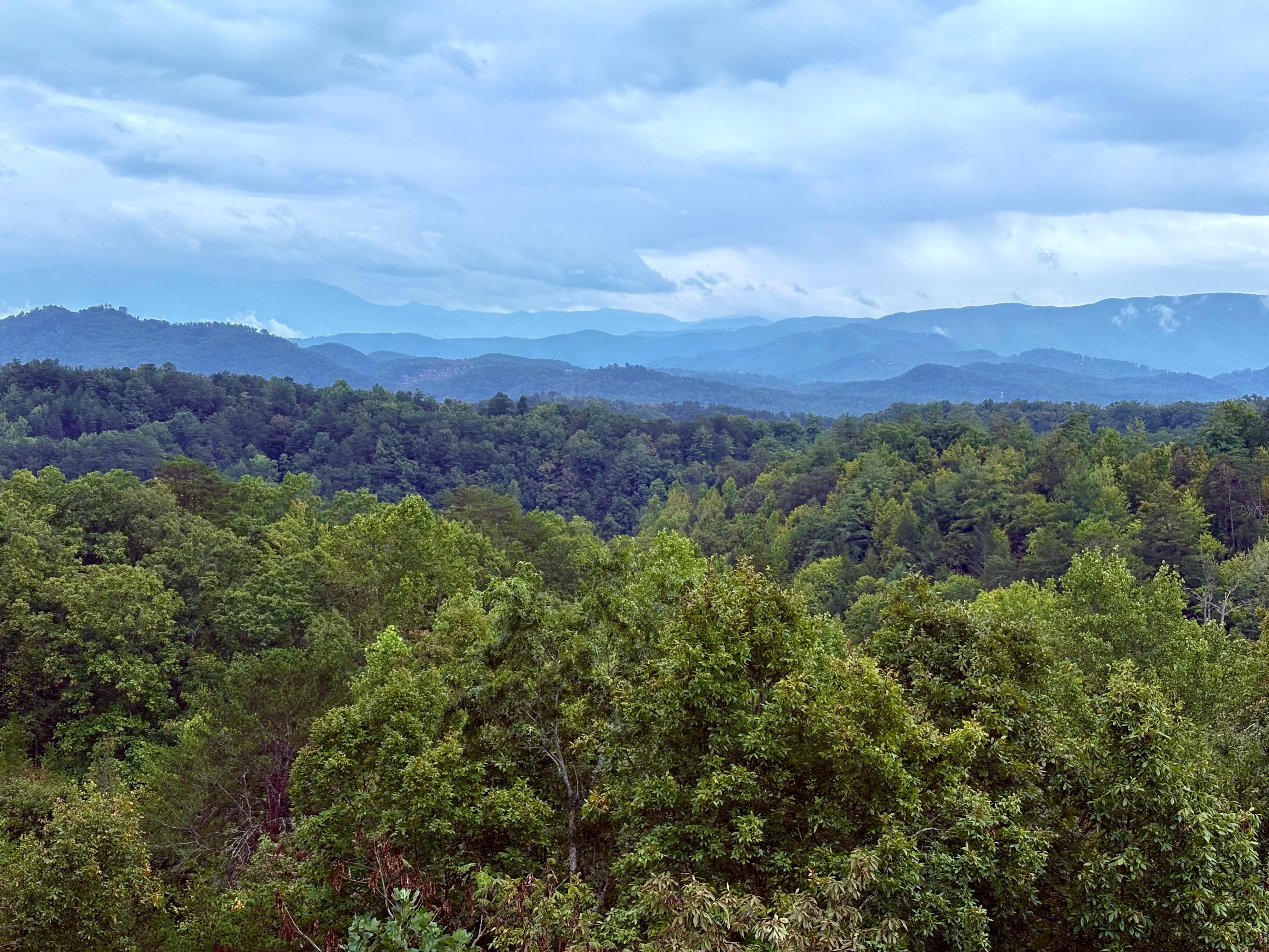 View from back porch. 