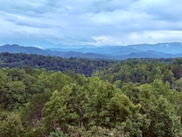 View from back porch.