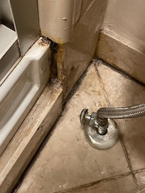 Needs a deep cleaning. Basic cleaning (counter tops, etc.) was fine.