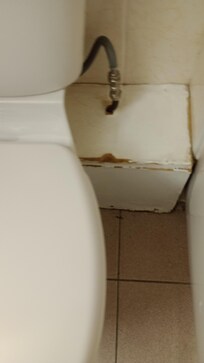 Box behind toilet