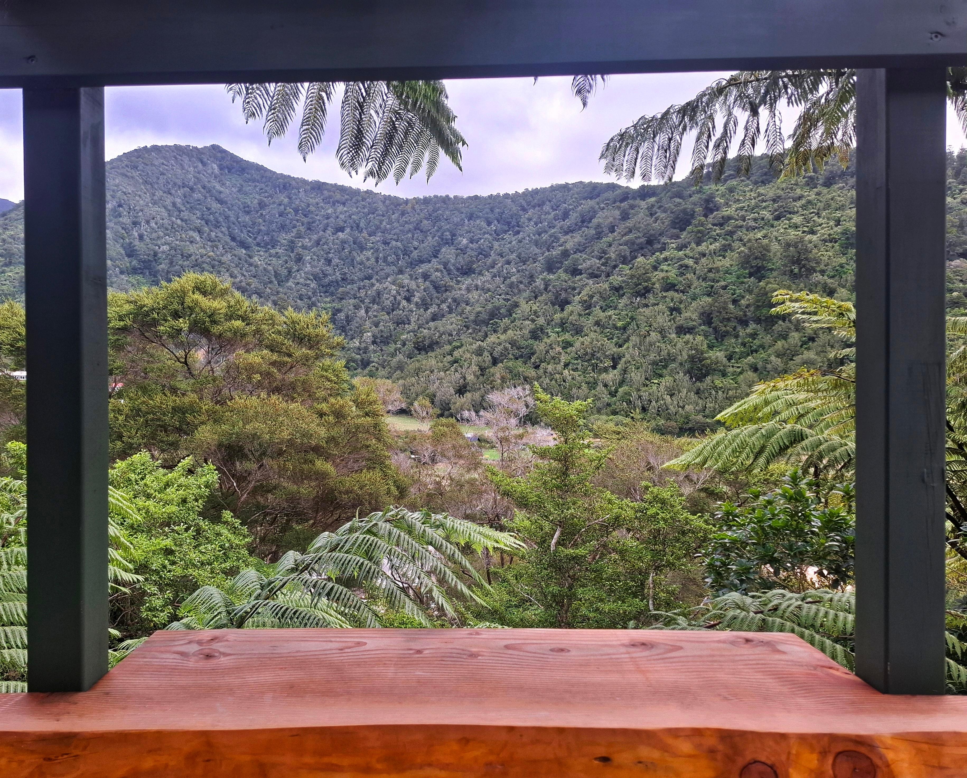 View from the deck