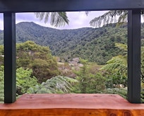 View from the deck