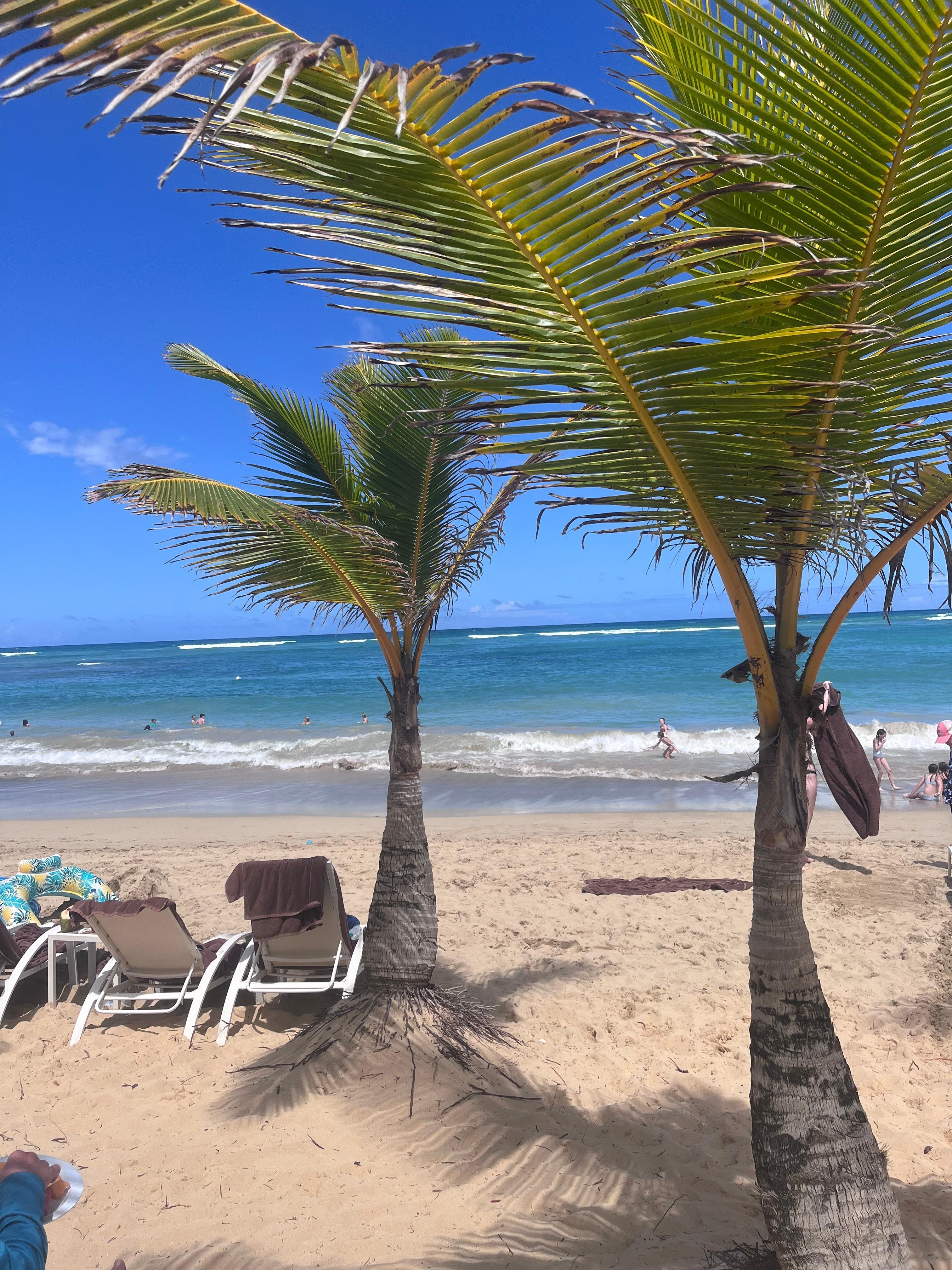Beautiful beach!!! The waves were so fun to play in.