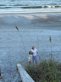 Beautiful sand beach with lots of collectible seashells