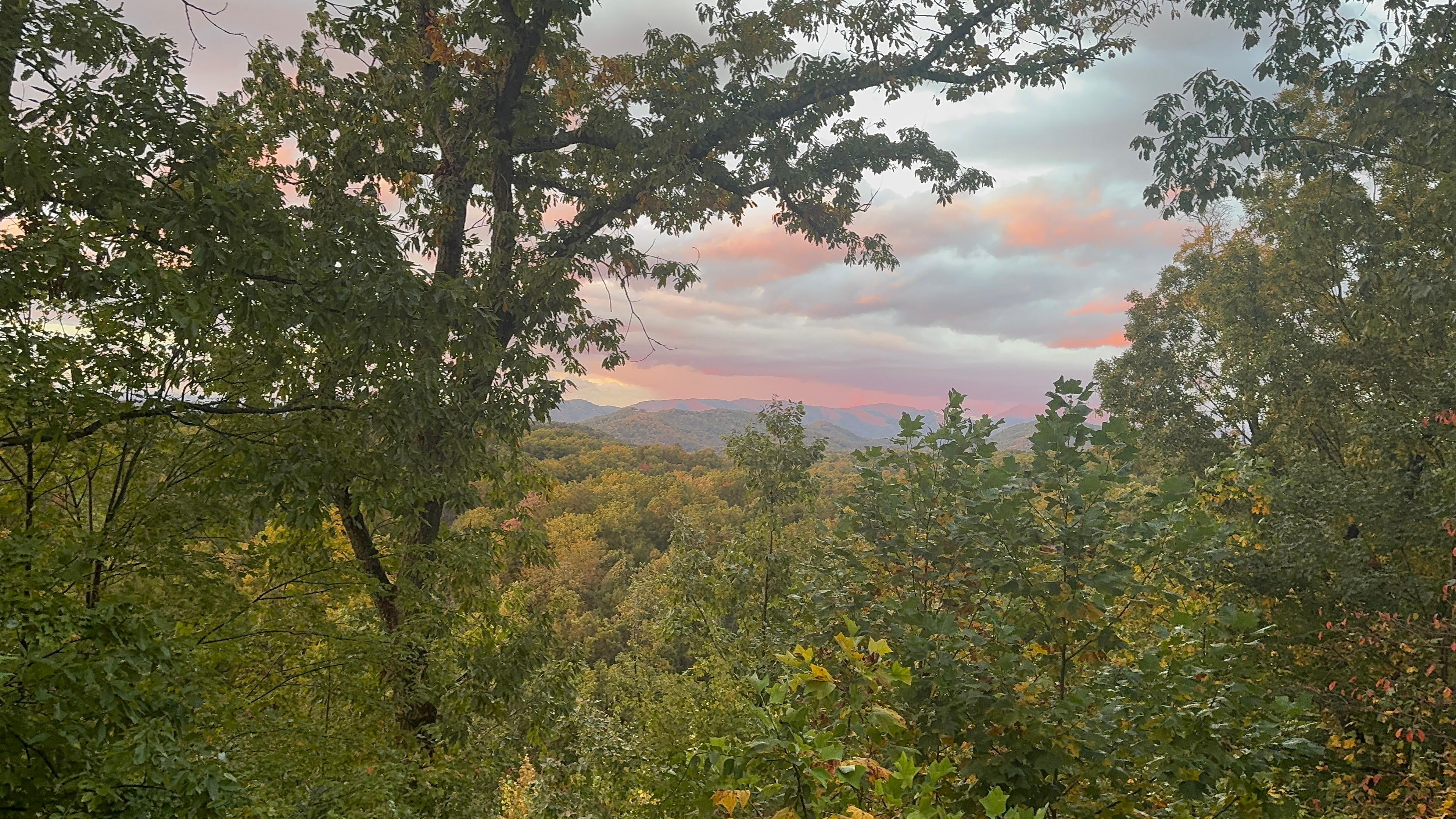 Pictures do not do it justice. 