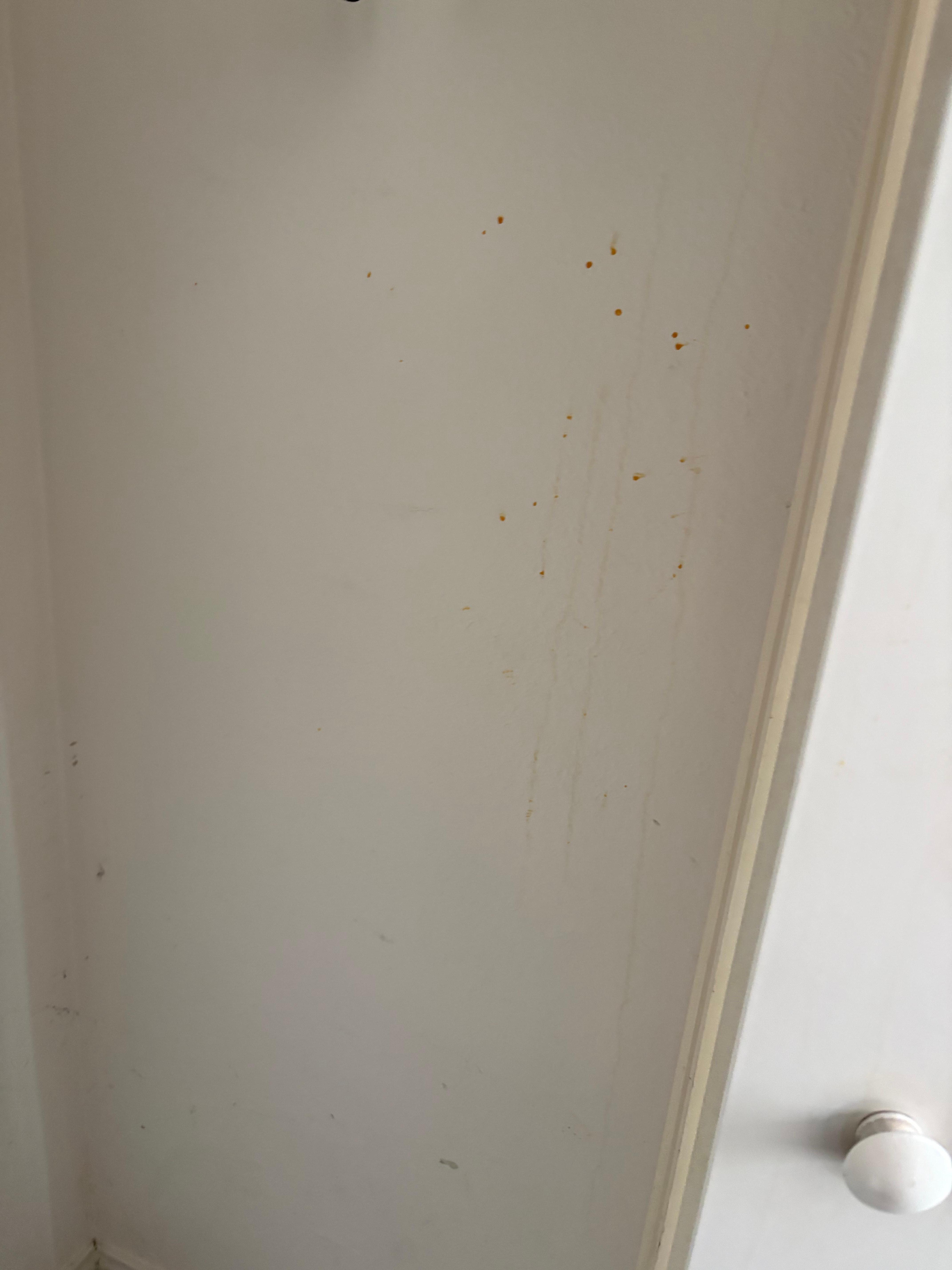 Unsure what this but it was in a guest closet 