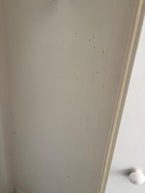 Unsure what this but it was in a guest closet