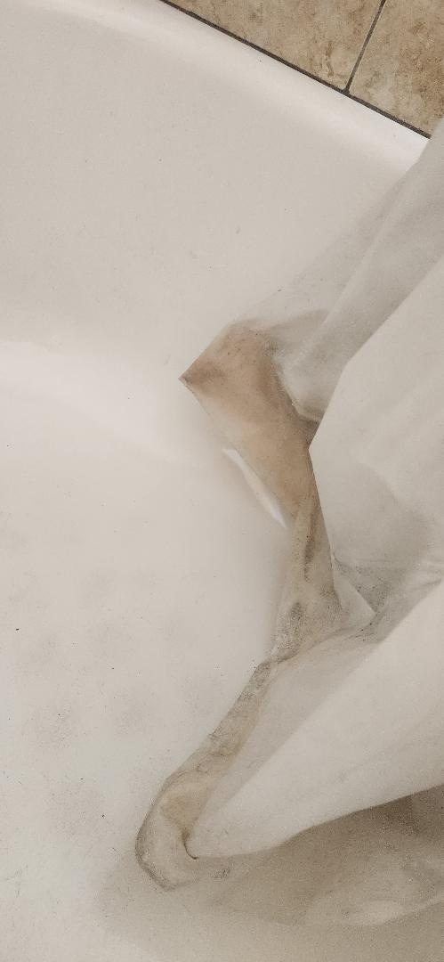 gross shower curtain