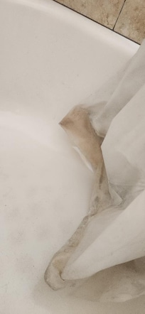 gross shower curtain