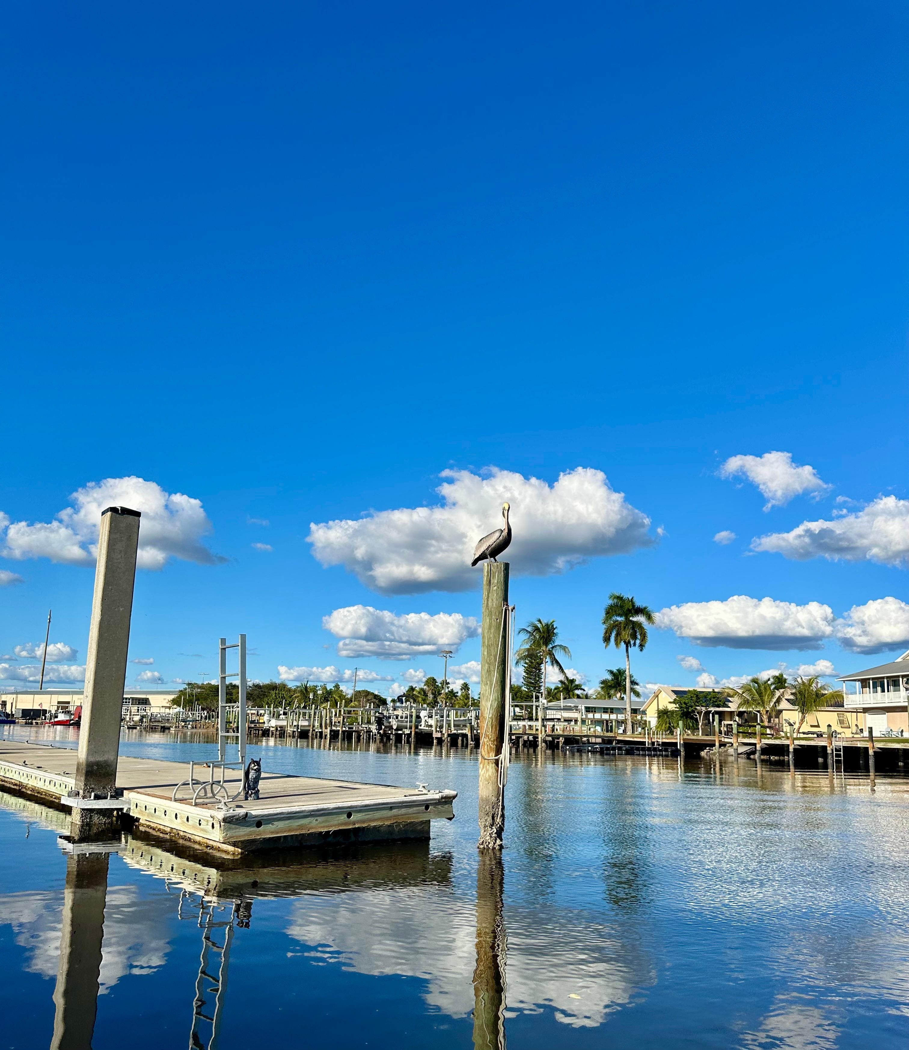 One of the Dock residents