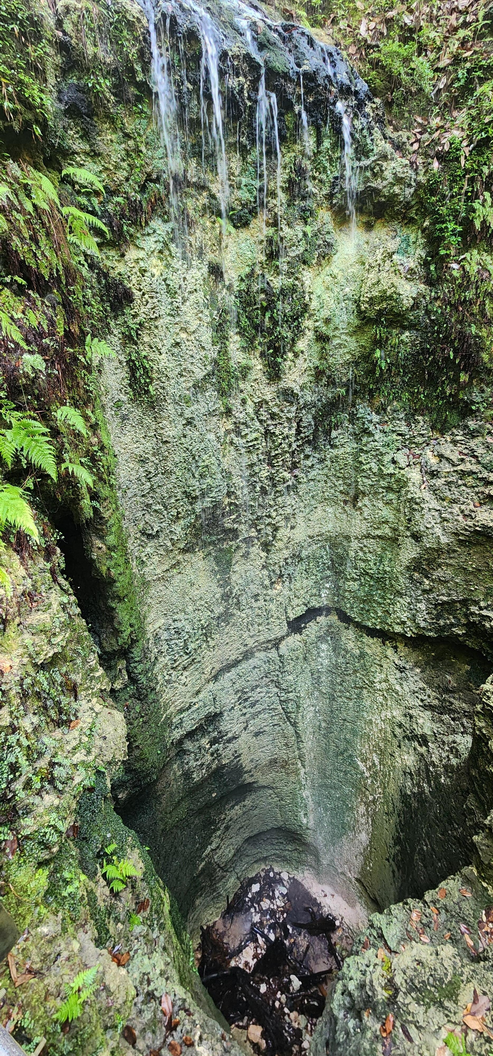 Falling Waters State Park
Florida's highest waterfall.