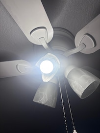 Good thing we didn’t reach up to turn light on in the dark