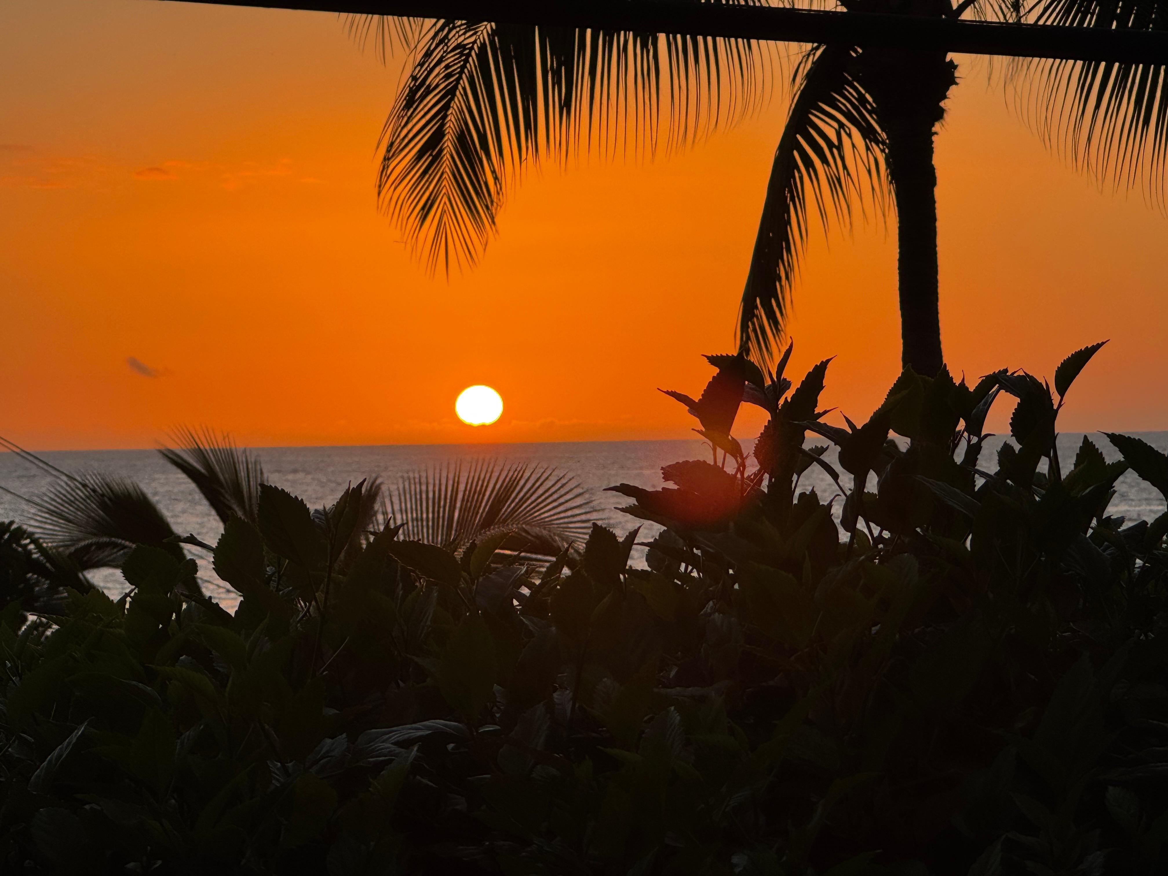 Photo from lanai - there is a power pole (not pictured) that blocks some view, but nothing the owner can do about it. 