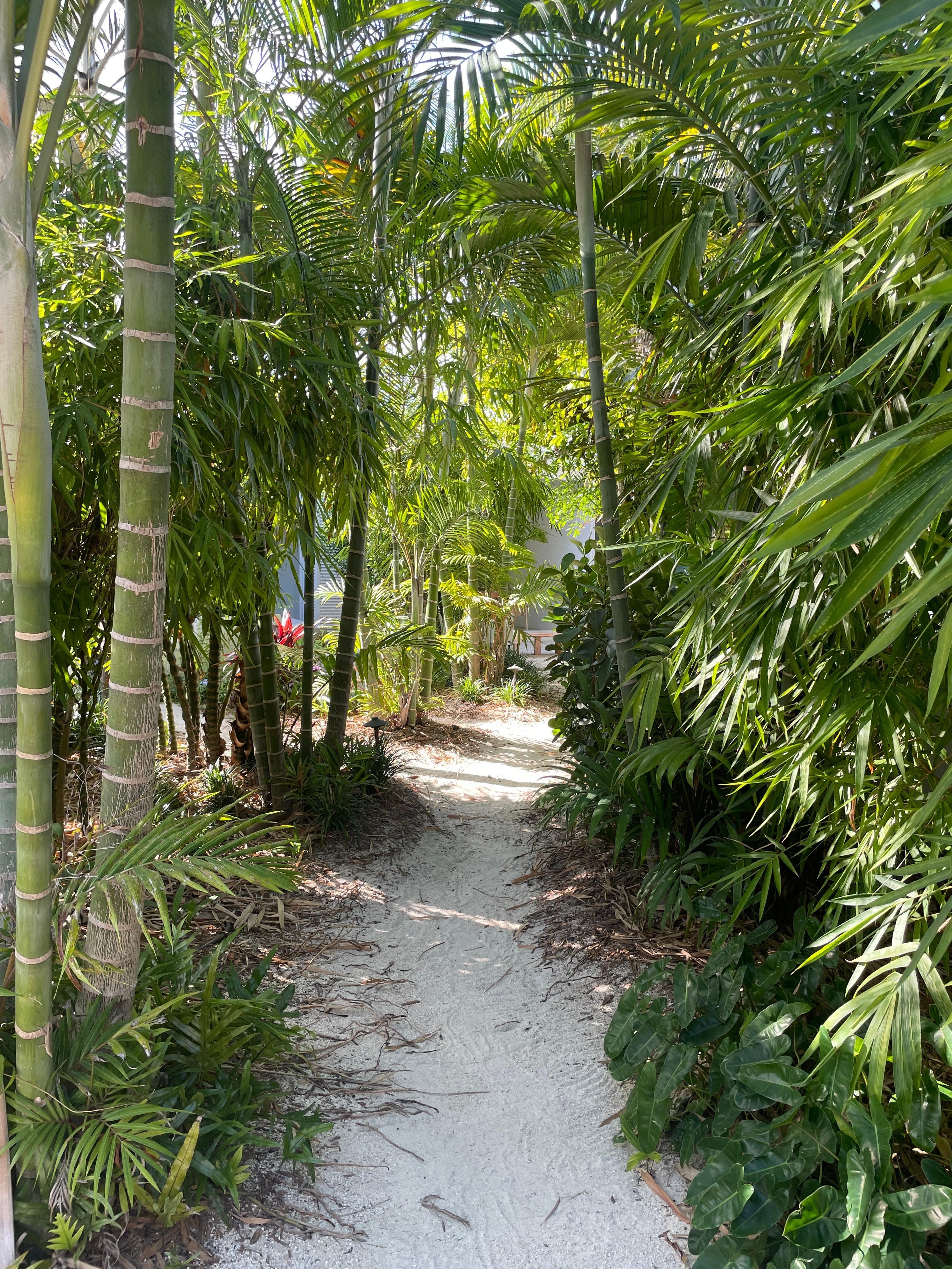Path along the way between buildings