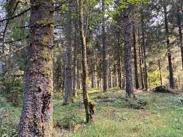 Langs de wandelroute