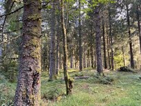 Langs de wandelroute