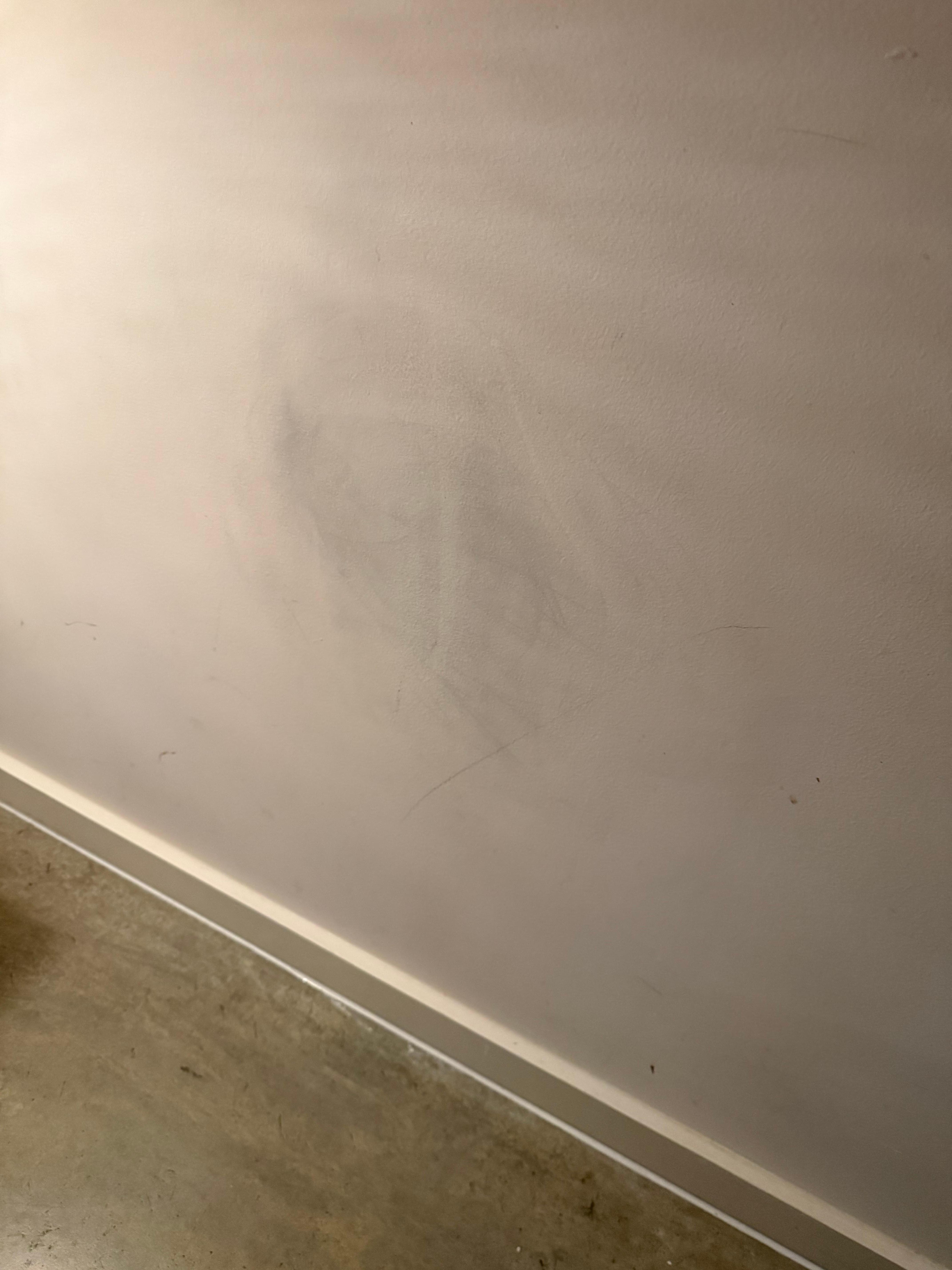 Couldn’t this be easily wiped off?!