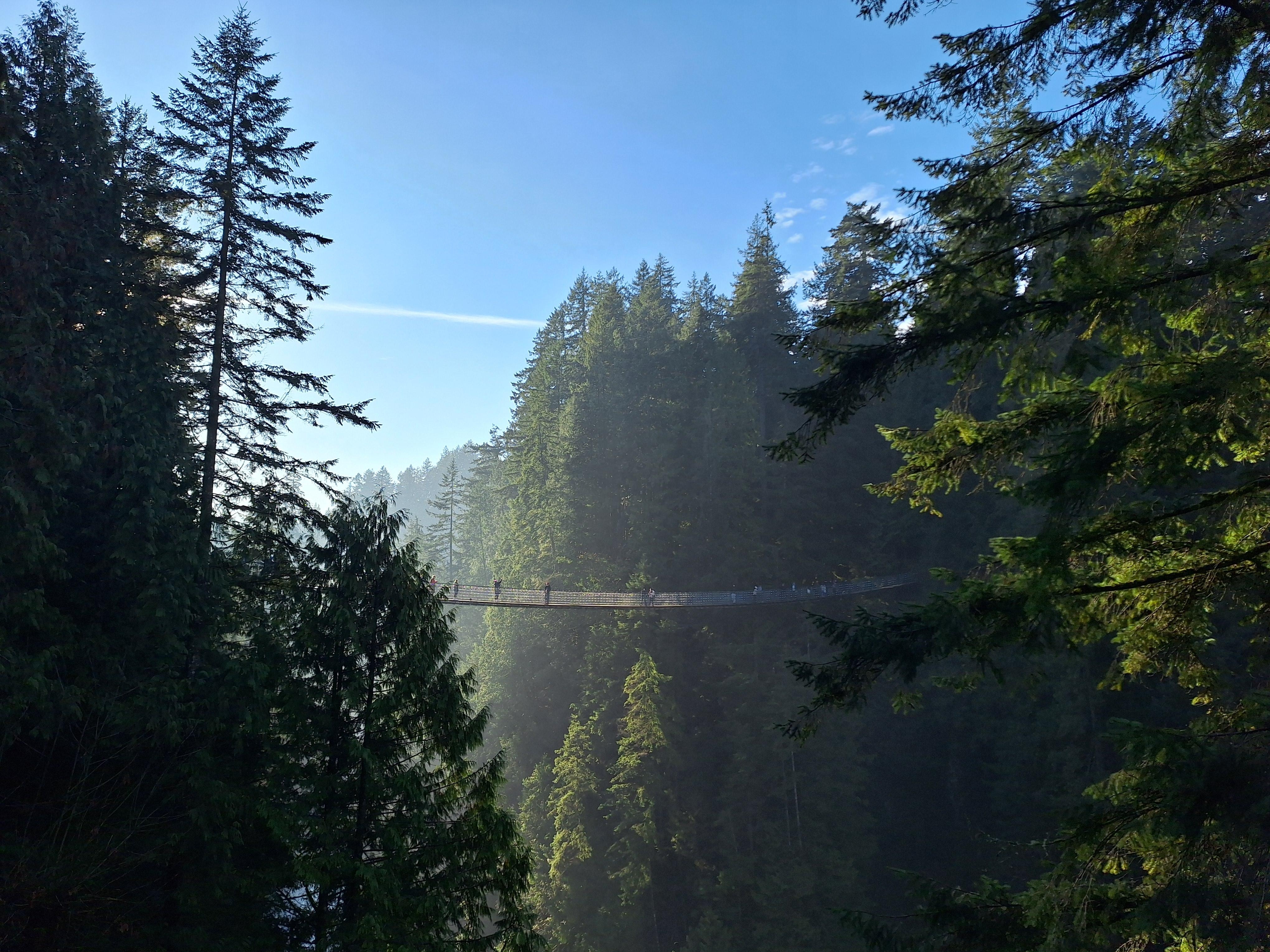 Capilano Suspension bridge