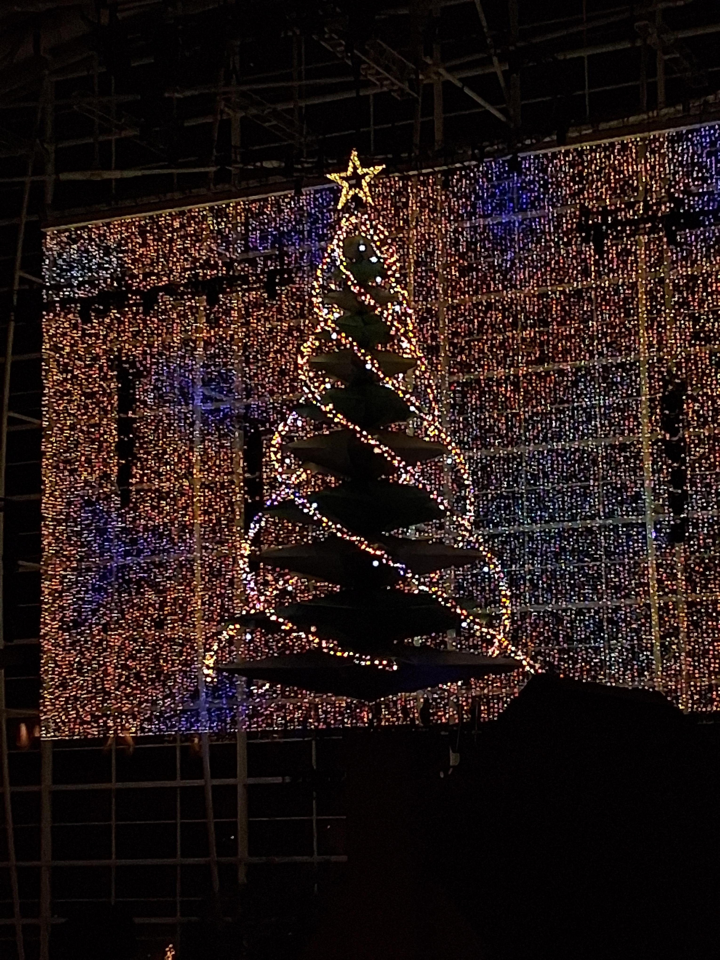 Christmas at the Gaylord 