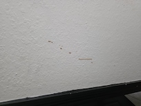 Splatter of something all over the walls, couldn't put all the spots due to 8 picture max