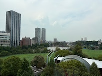 Our view
