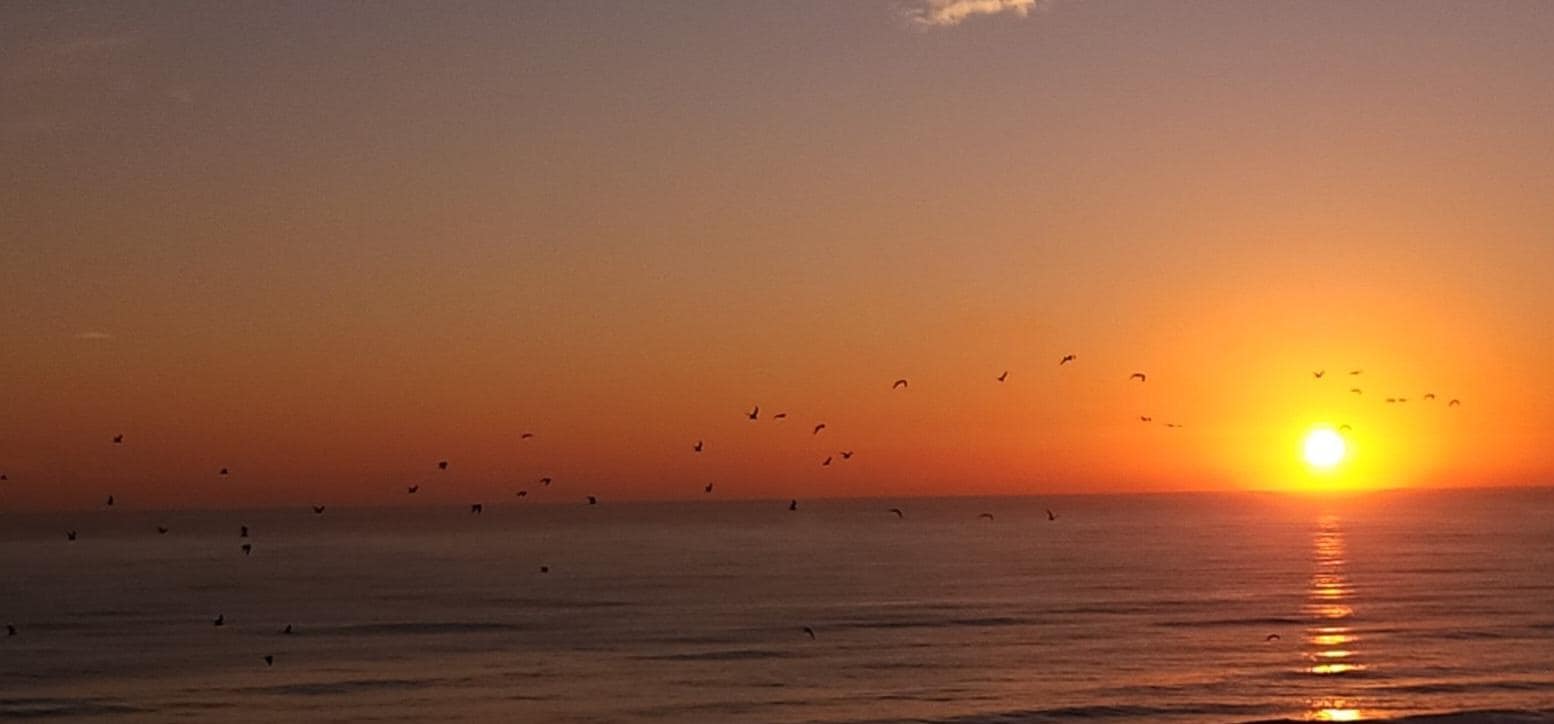 Soothing ocean waves and beautiful sunrise