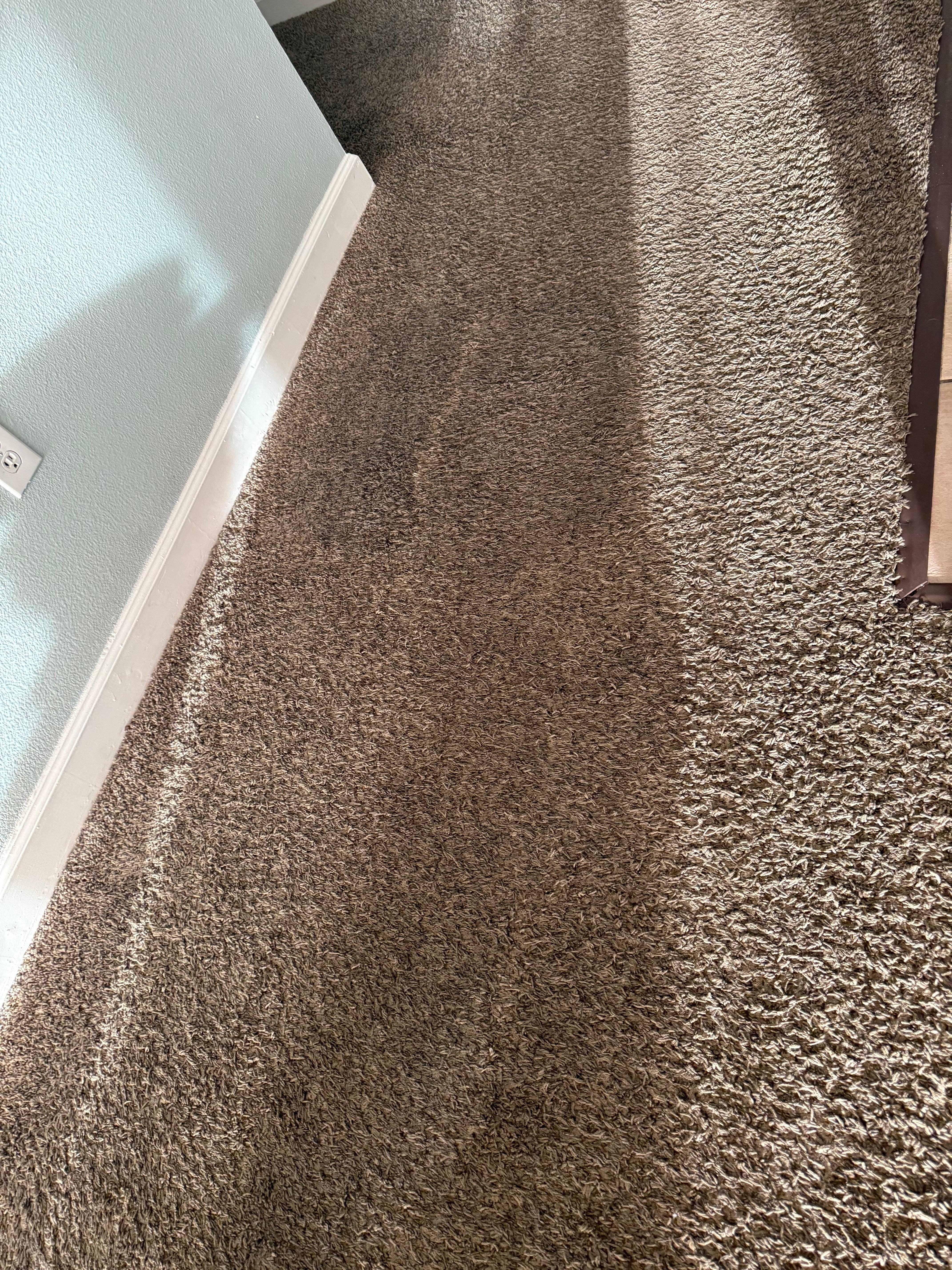 Wet carpet that no one ever came to see why. It smelled like mildew and old water 