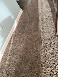 Wet carpet that no one ever came to see why. It smelled like mildew and old water
