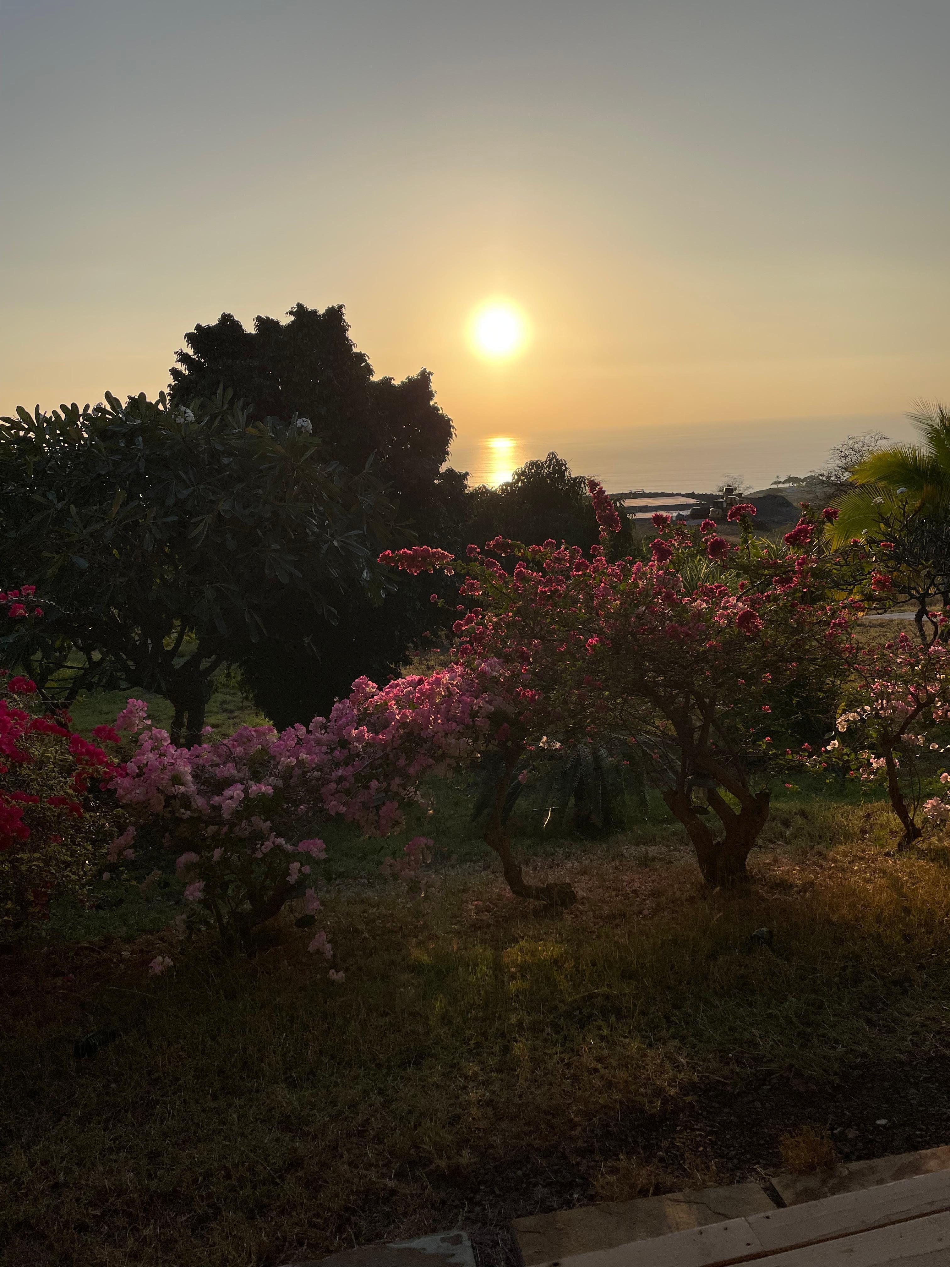 View from your porch.