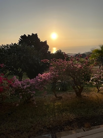 View from your porch.