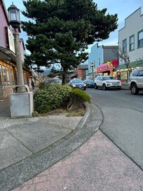 Walking the shops downtown