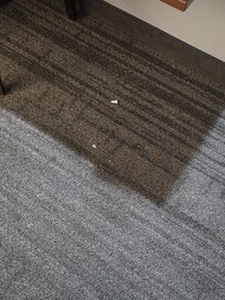 Trash on floor