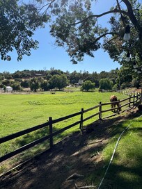 View from the outdoor area adjacent to the bunkhouse.