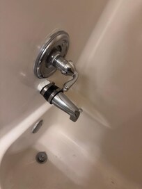 The tub. I work in hardware and I knw that the what that cost to "repair" would have been the same as a new spout.